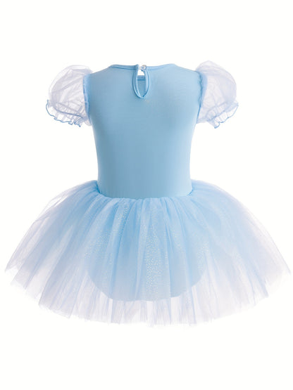 Sequins Embroidered Girls Ballet Dance Dress, Bubble Mesh Sleeve 1-piece Bodysuit Photograph Performance Dance Leotard