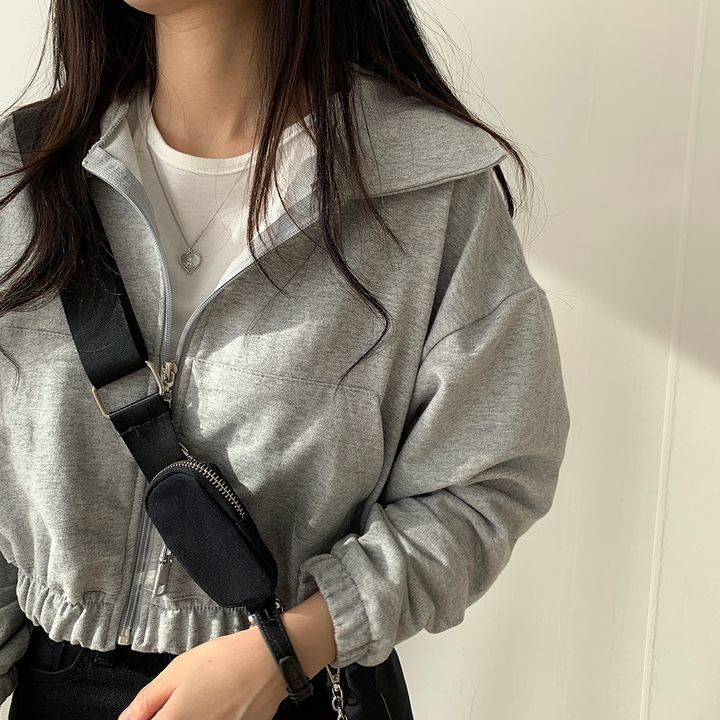 ZLLKL 2025 Internet celebrity zipper cardigan sweater women's spring autumn winter thin jacket Korean tide fleece loose fleece top solid color